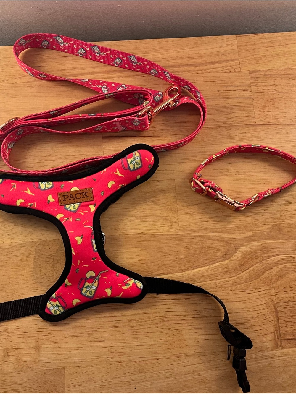 Hot Pink Lemonade Patterned Dog Harness, Leash & Collar Set